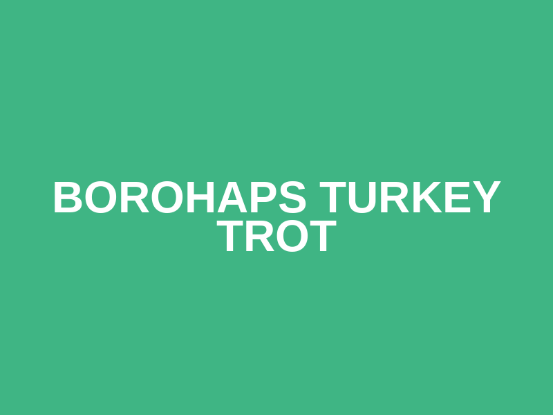 BoroHaps Turkey Trot