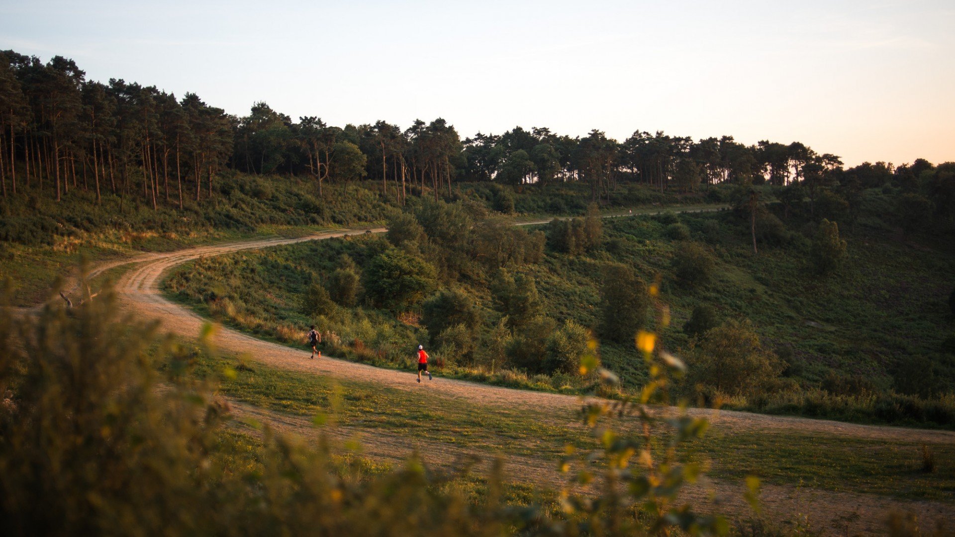 Box Hill VK - Dec 2026 Logo