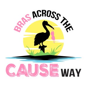 Bras Across the CAUSEway 5k & Festival Logo