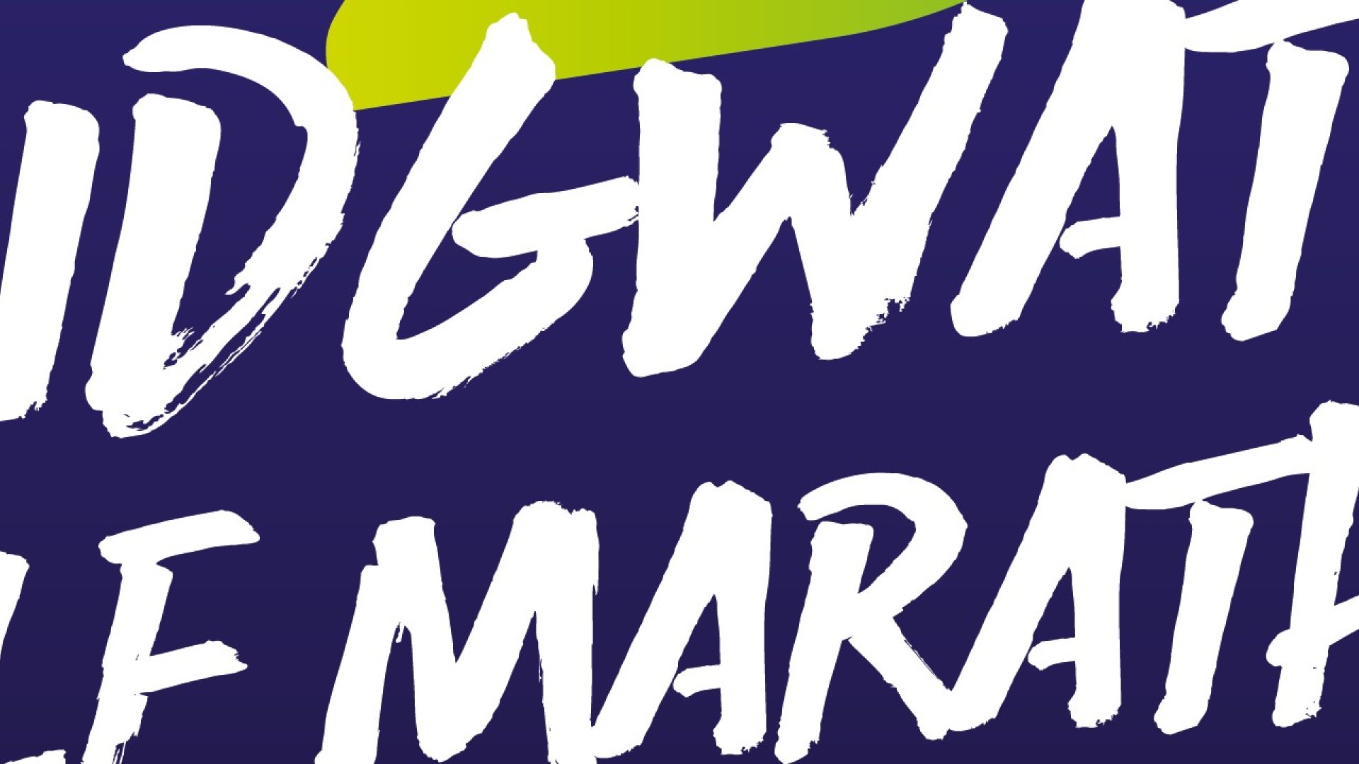 Bridgwater Half Marathon & BWHM 10K