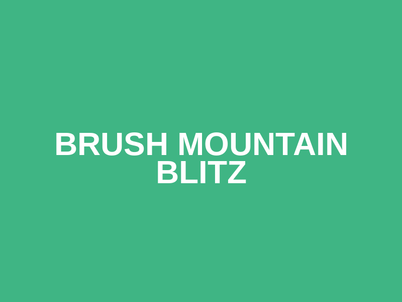 Brush Mountain Blitz