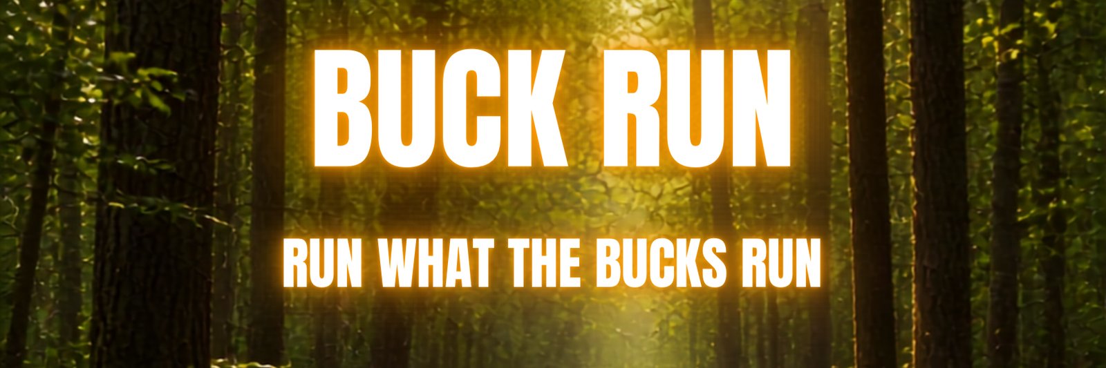 Buck Run