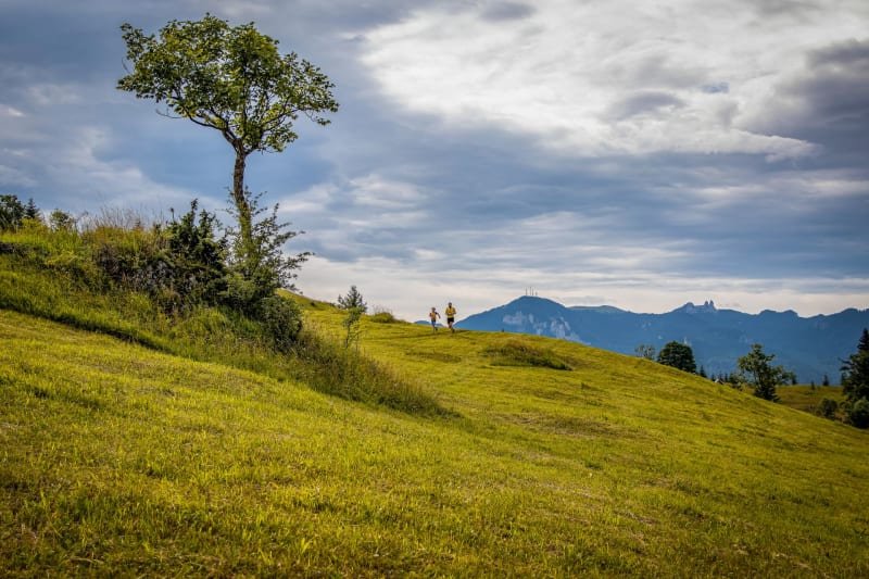 Bucovina Ultra Rocks by UTMB - ROCKY