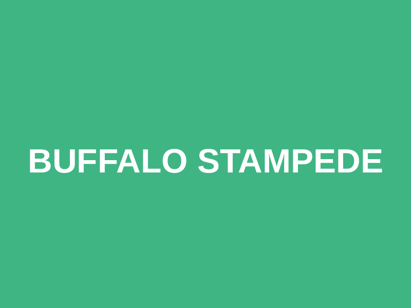 Buffalo Stampede Logo