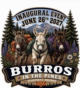 Burros in the Pines