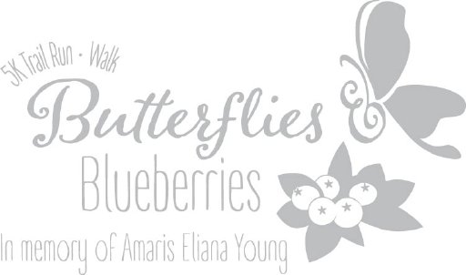 Butterflies & Blueberries Logo