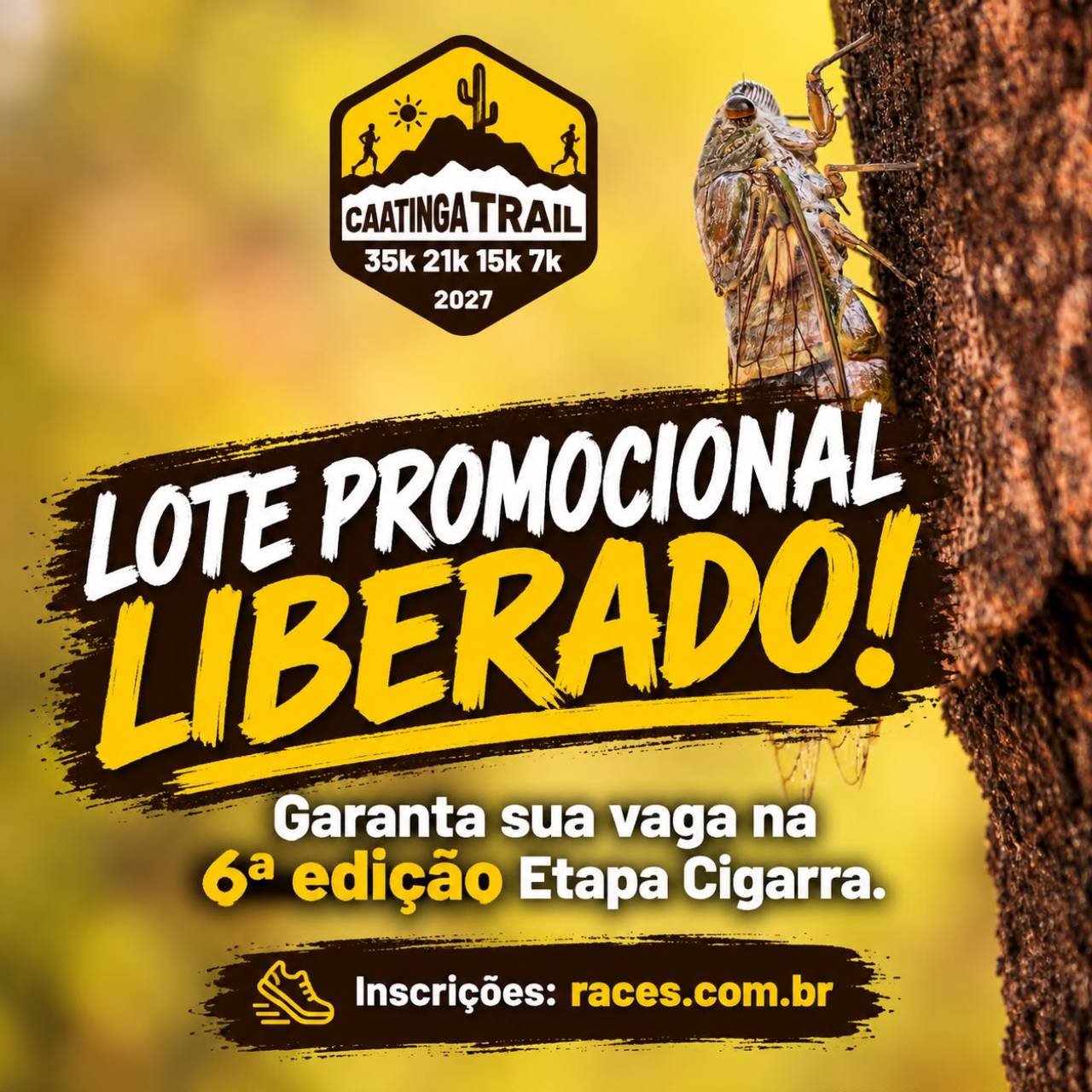 Caatinga Trail 2027 - Etapa Cigarra