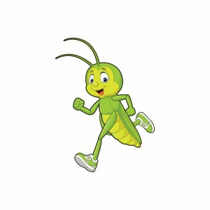 CabotFest Classic 5k & 1M Cricket Crawl Event