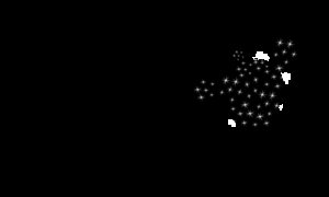 Cactus Rose Endurance Trail Race