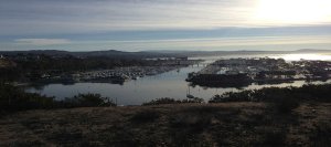 Camino Real Double Logo