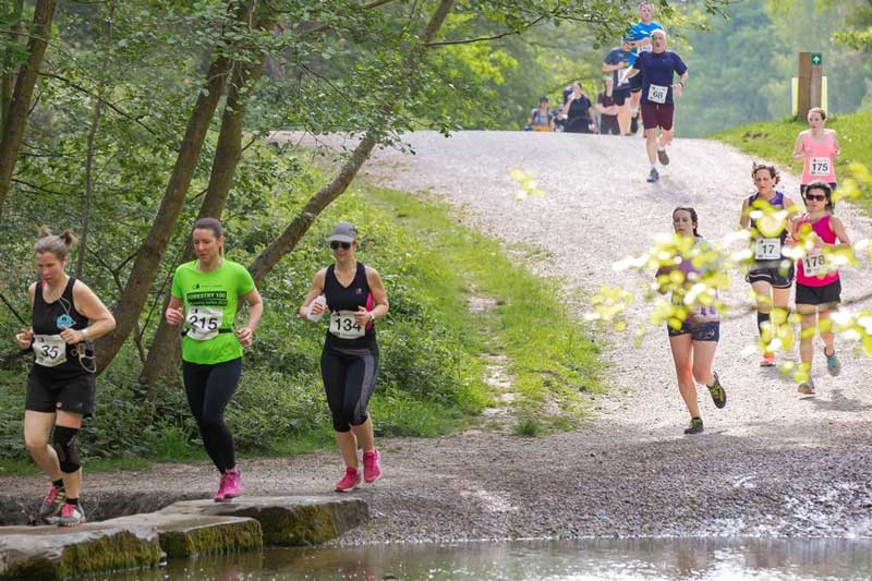 Cannock Chase Forest 20, 15, 10 & 5 Mile Logo