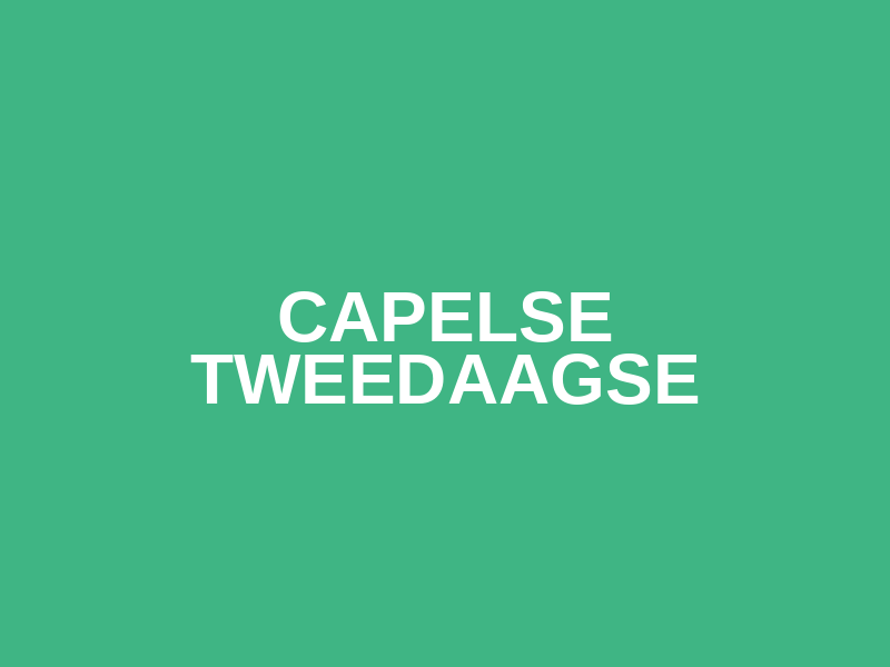 Capelse Tweedaagse