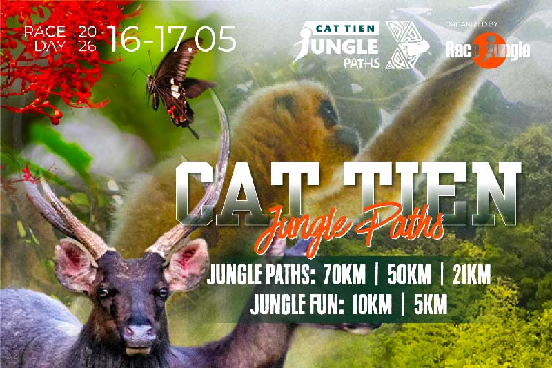 Cat Tien Jungle Paths Logo