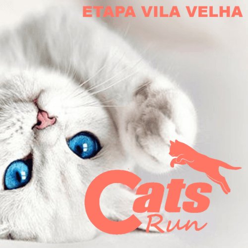 CATS RUN ES 2027