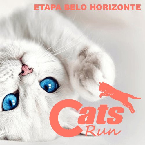 CATS RUN MG 2027