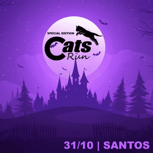 CATS RUN SANTOS 2026