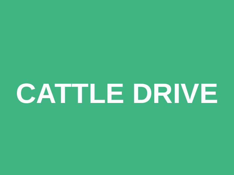 Cattle Drive