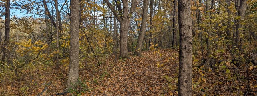 Cedar Bend Endurance Event