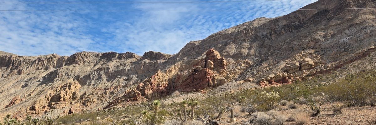 Cedar Pocket Trail Run