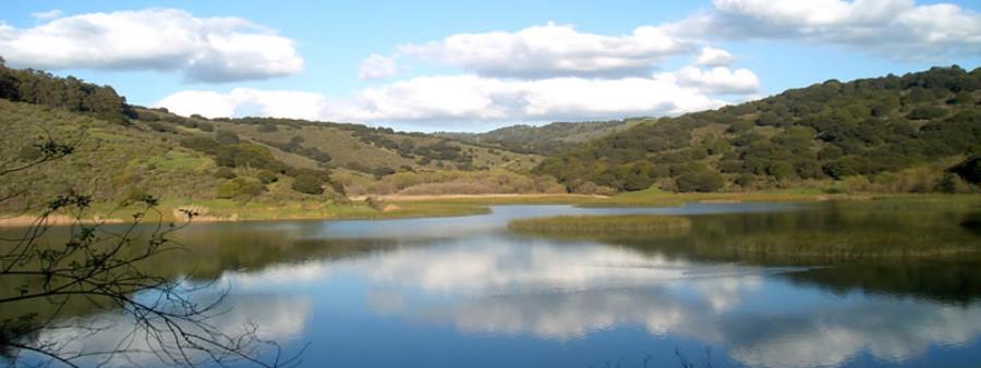 Chabot/Redtail Ridge Trail Run
