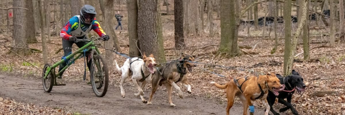 Charlton Park Dryland Battle Sled Dog Race