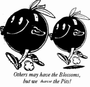 Cherry Pit - 10 miler Logo