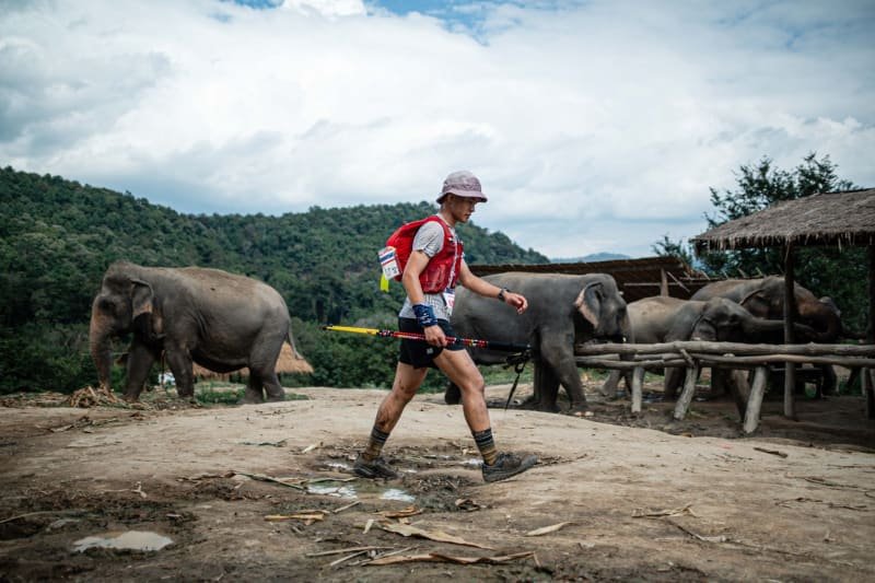 Chiangmai Thailand by UTMB® - ELEPHANT 100 Logo