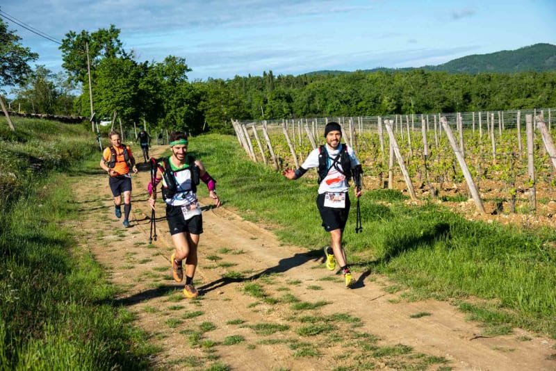 Chianti Ultra Trail by UTMB® - Chianti Half Trail Logo