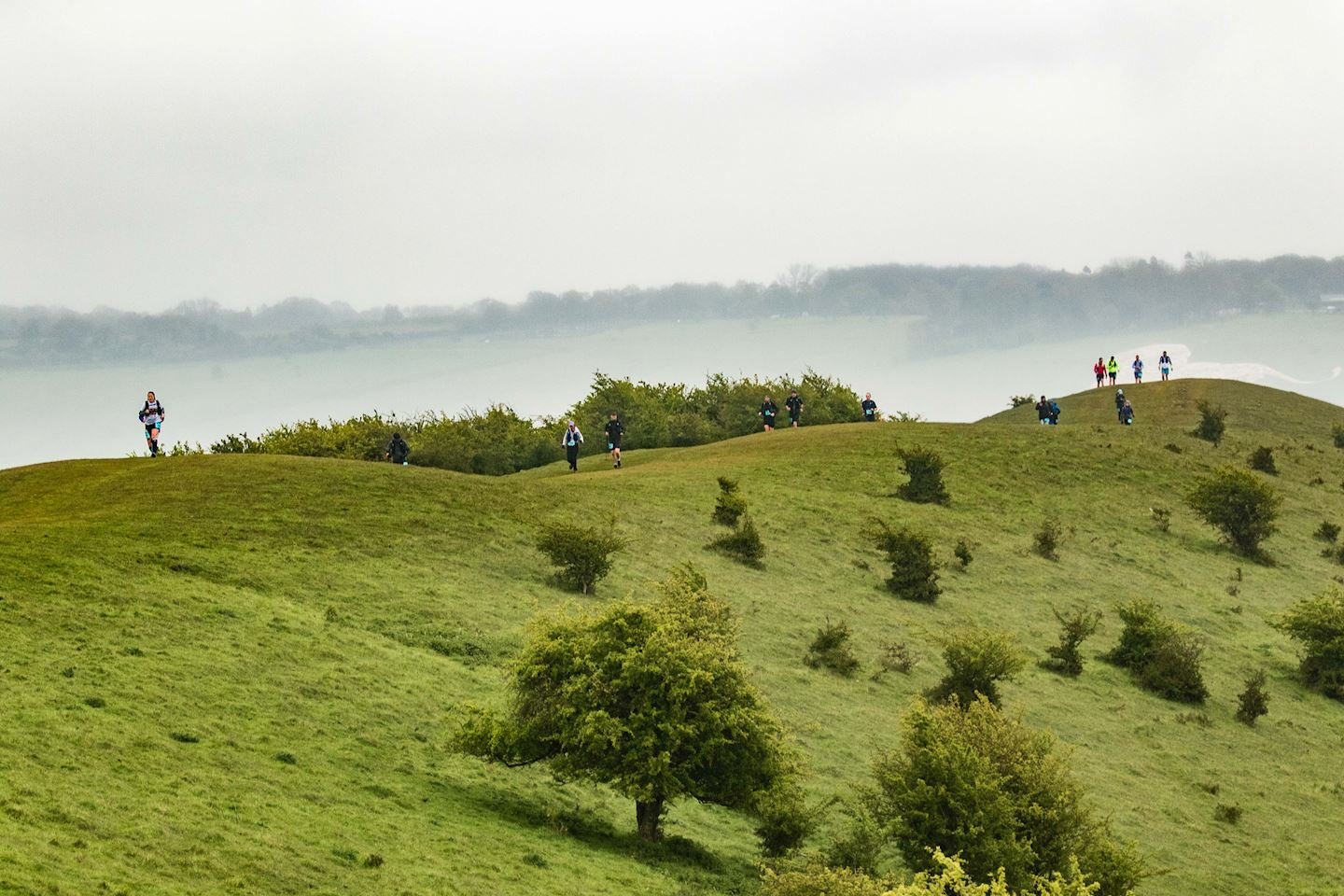 Chiltern Ridge Winter 50K Logo