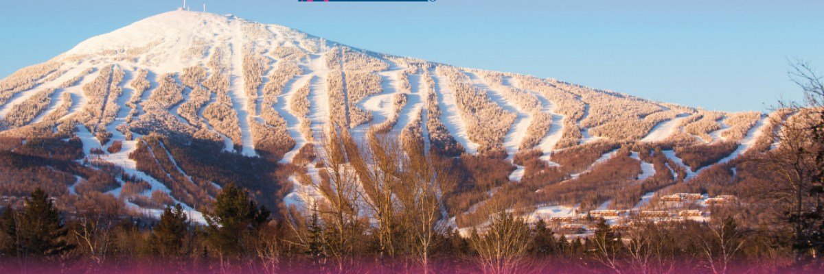 Climb For A Cure