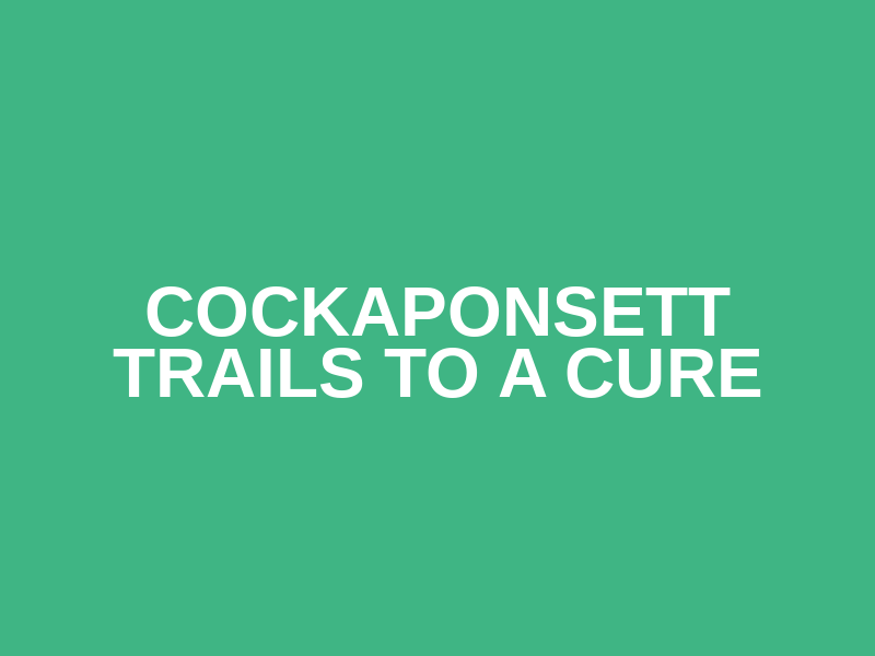 Cockaponsett Trails to a Cure Logo