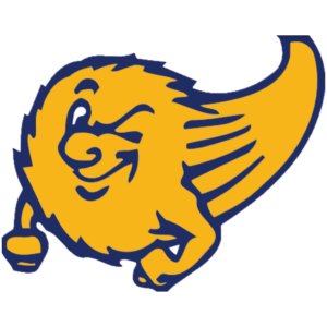 Comet 5k run/walk Logo