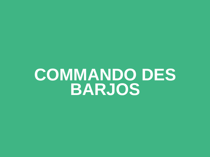 COMMANDO DES  BARJOS