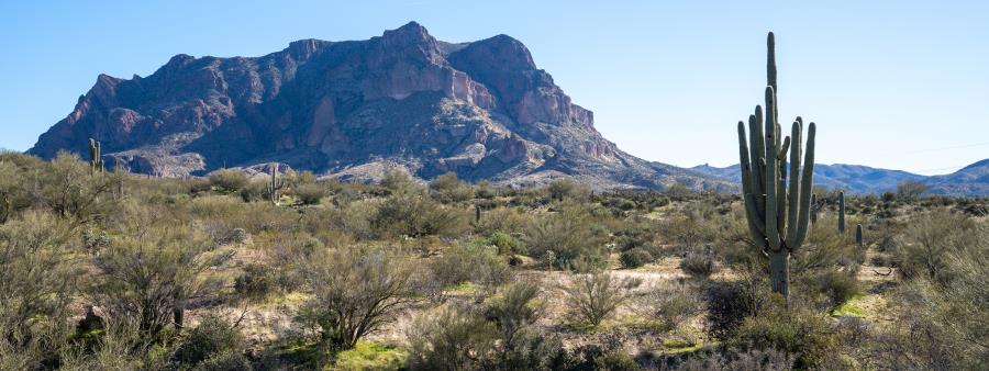Copper Corridor Logo