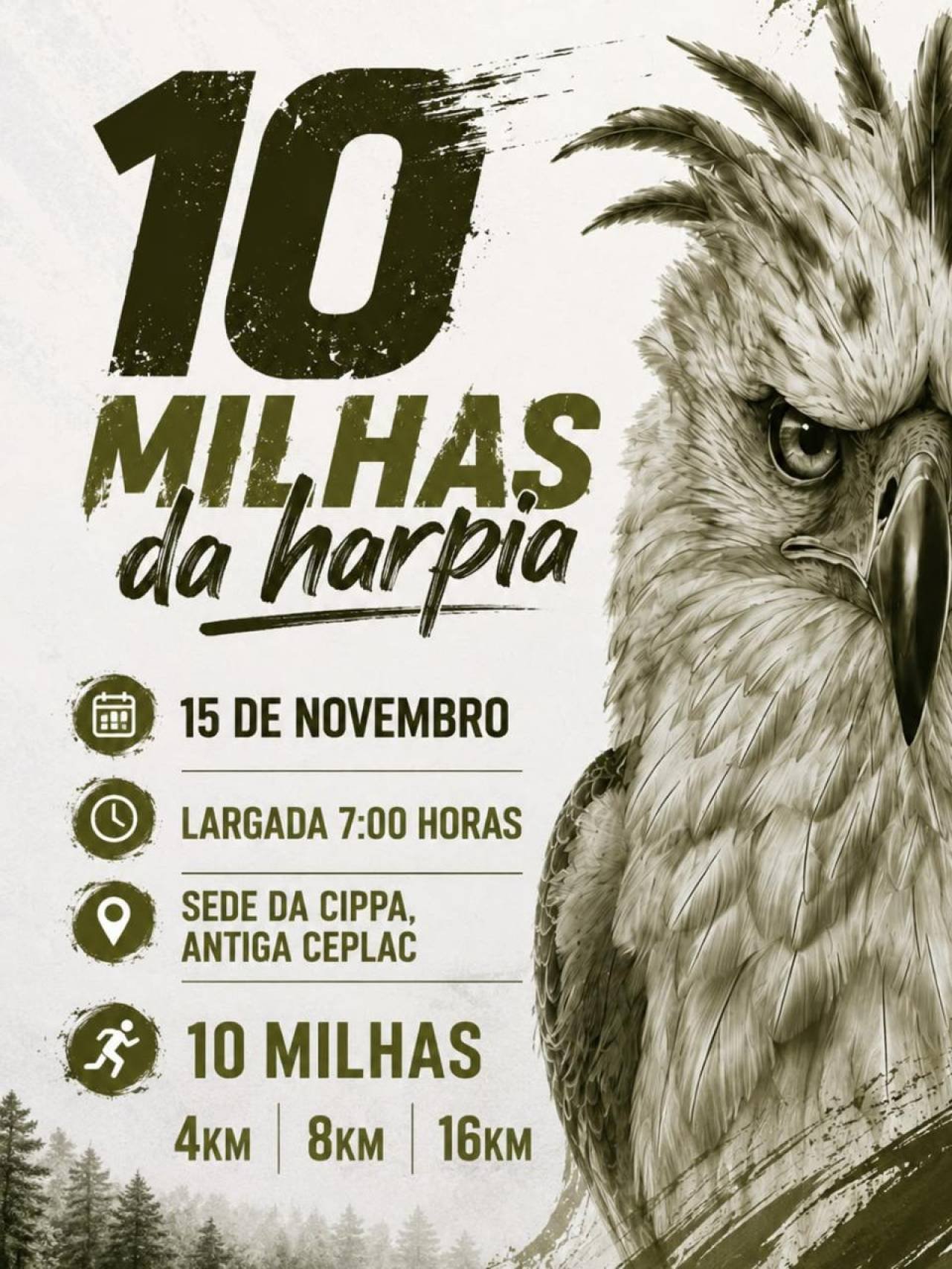 CORRIDA DA HARPIA