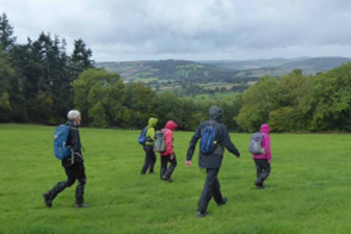 Corvedale Cake Walk Logo