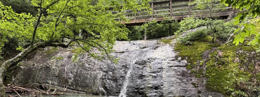 Cossatot River Trail Run