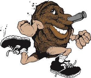 Cow Chip Classic Run/Walk Logo