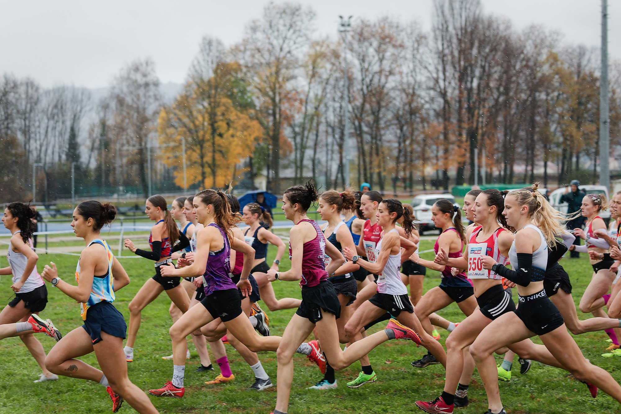Cross National Bayard