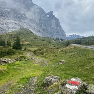 Crossing Switzerland Logo