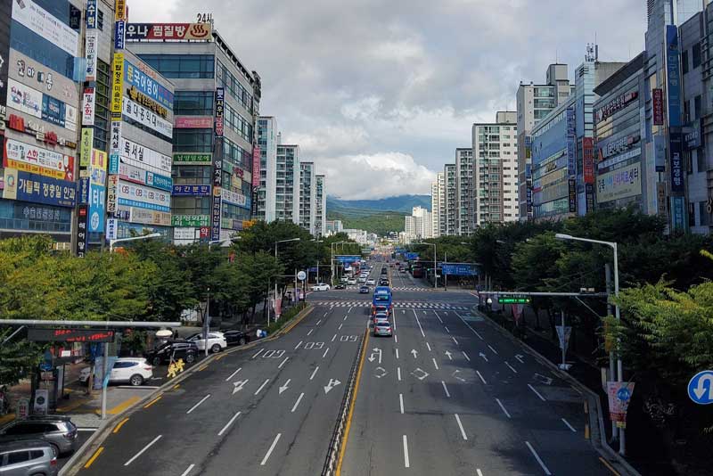Daegu Yeongnam Ilbo International Half Marathon