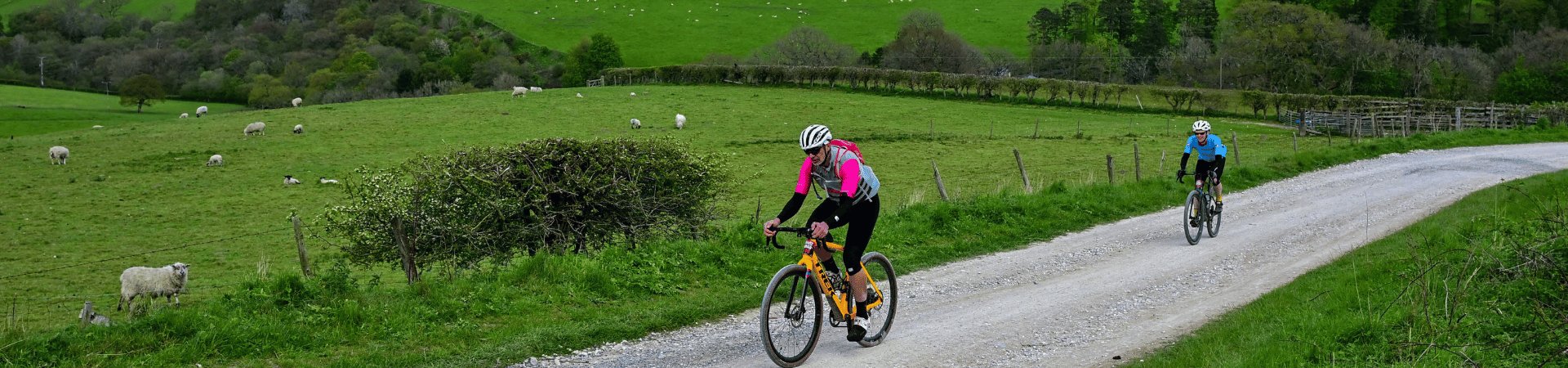 DALBY DEVIL GRAVEL RIDES  Logo