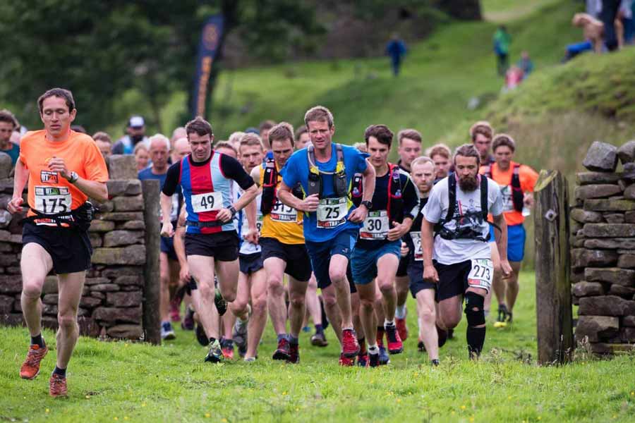 DalesRunner 20km Logo