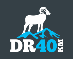 DalesRunner 40 Logo