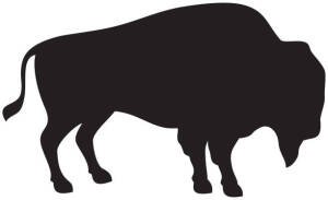 Dash Barton Buffalo Run 2026 Logo