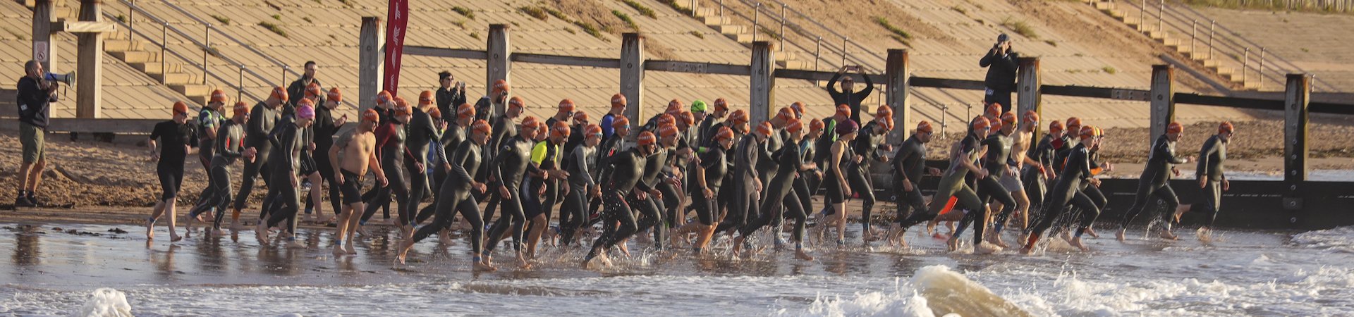 Dawlish Swim Logo