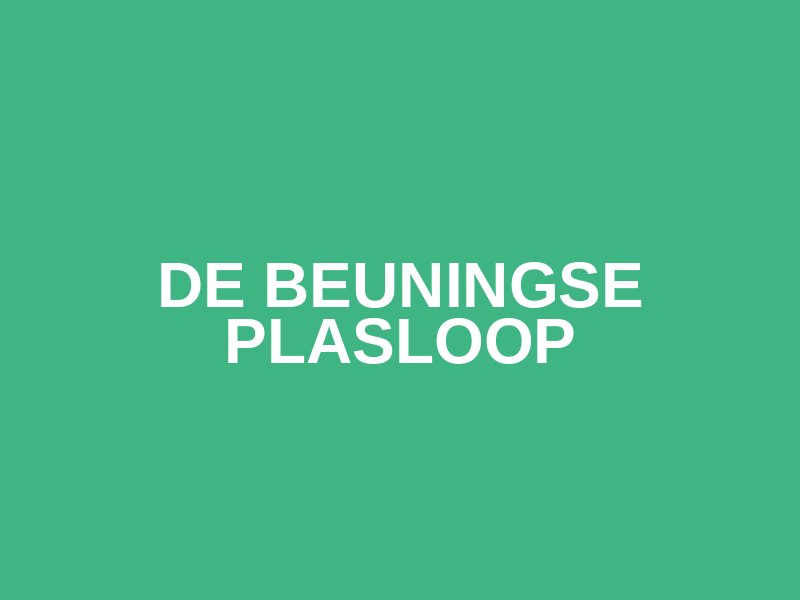 De Beuningse Plasloop