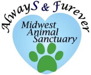 De Soto Days 5K-9 and Family Fun Run Logo