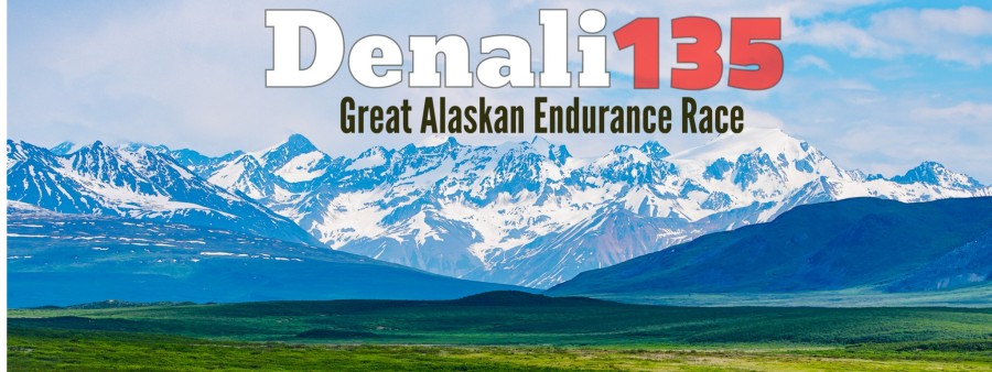 Denali135 Logo