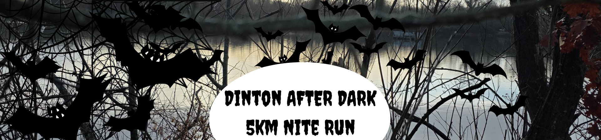 Dinton After Dark 5km Nite Run  Logo